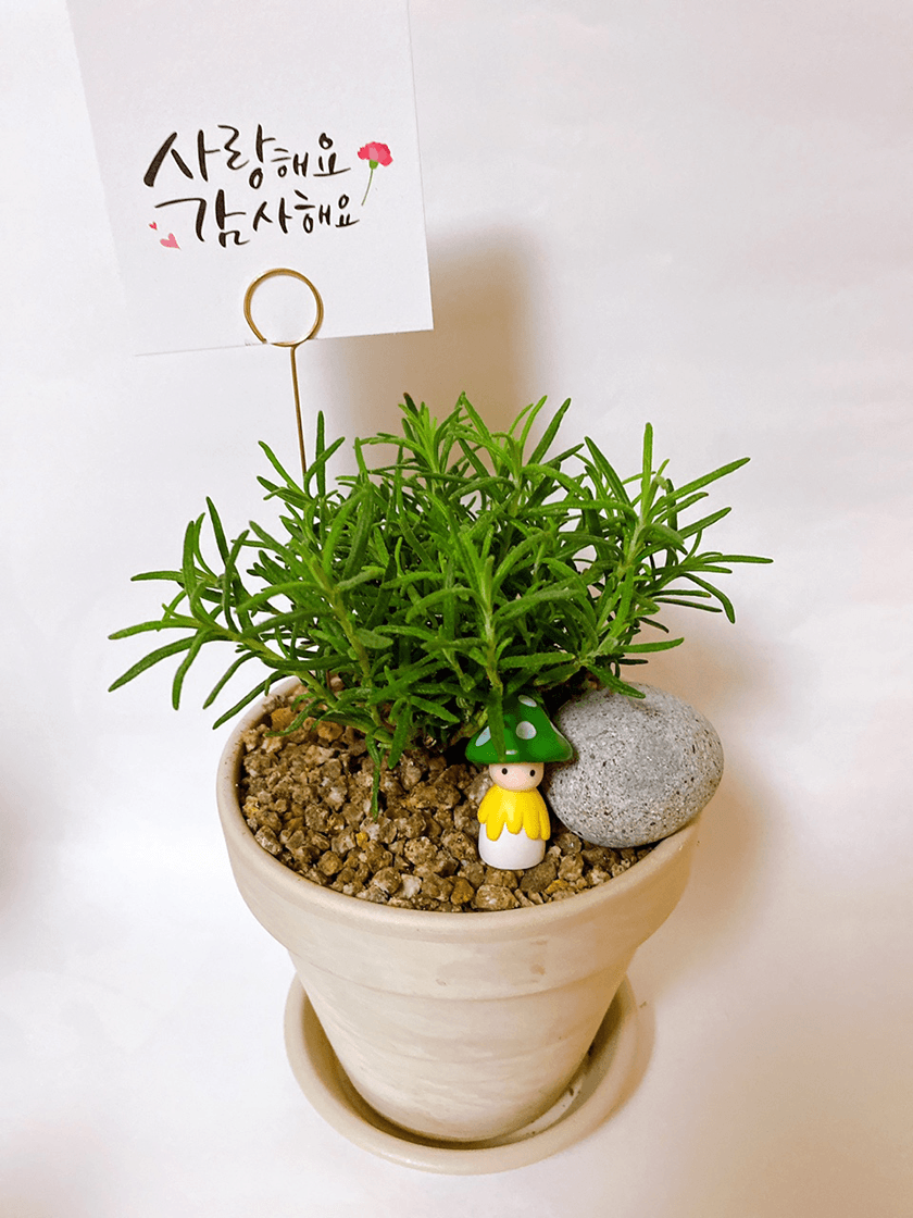 가드닝 클래스 진행 사진 1