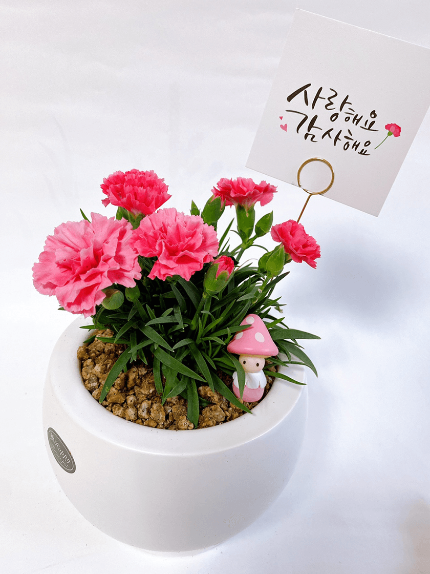 가드닝 클래스 진행 사진 2