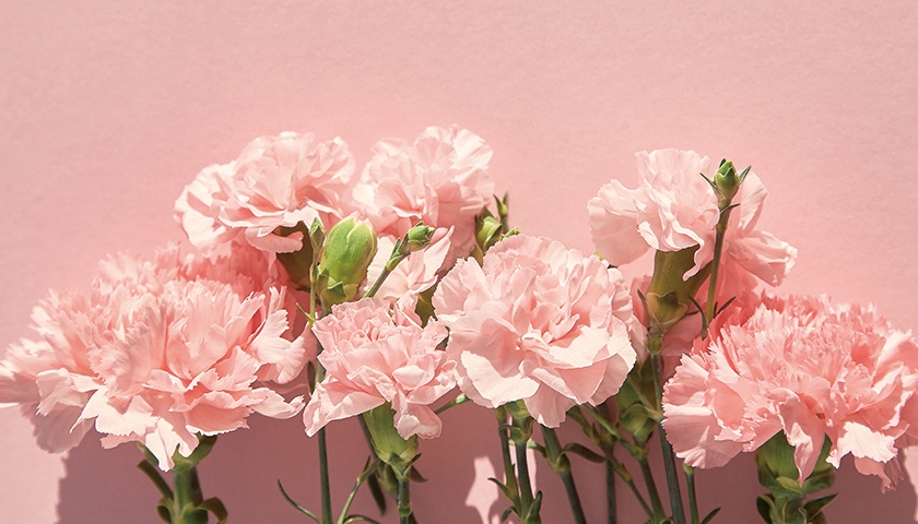 꽃 바구니 진행 사진 3