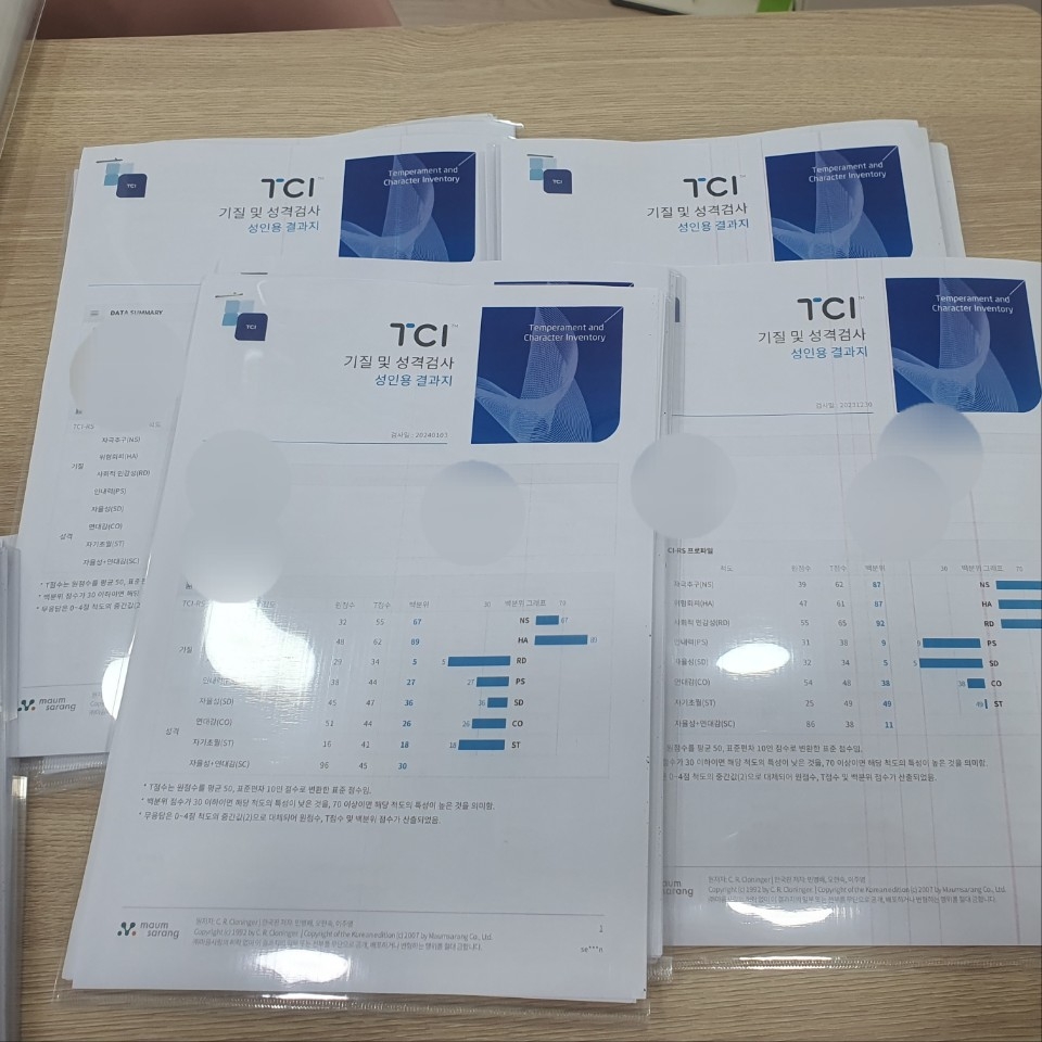 우리 팀의 기질과 성격, TCI 검사 진행 사진 2