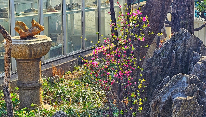 색다르게 즐기는 서울, 서촌 탐방 진행 사진 3