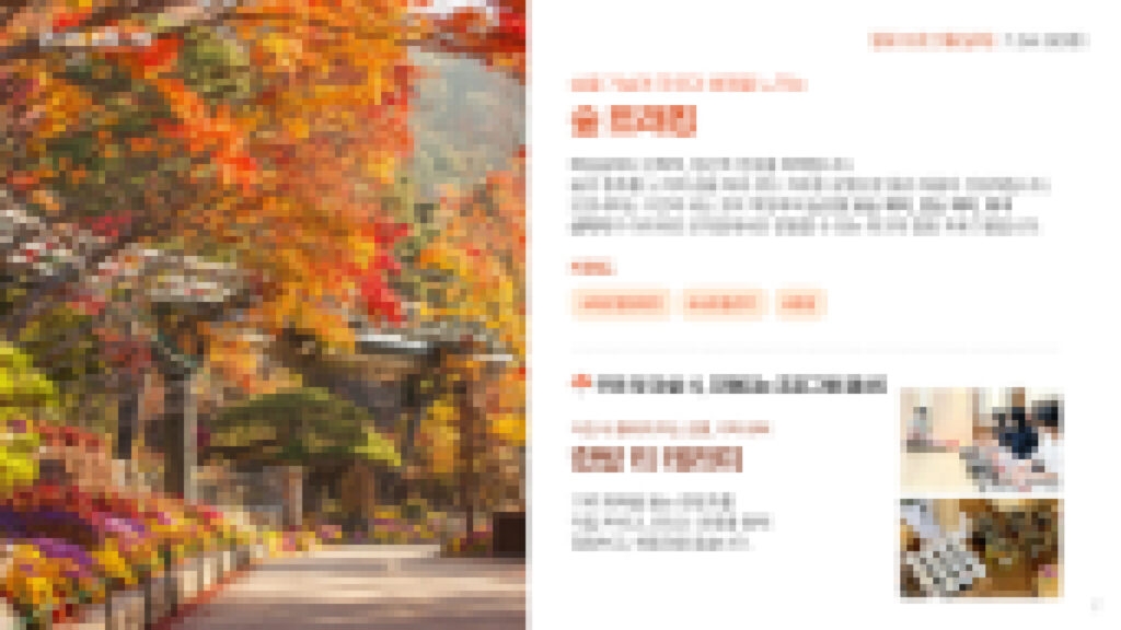 이너트립 KB국민은행 제안서 일부 이너트립 KB국민은행 제안서 일부