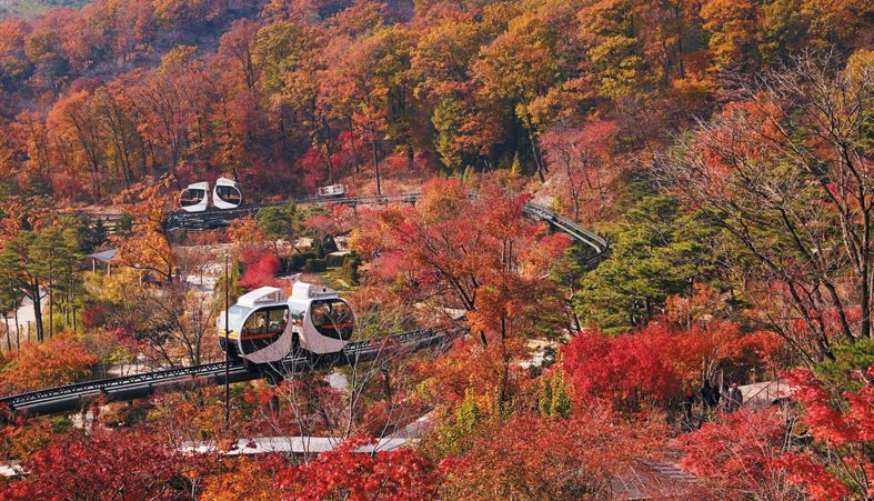 화담숲