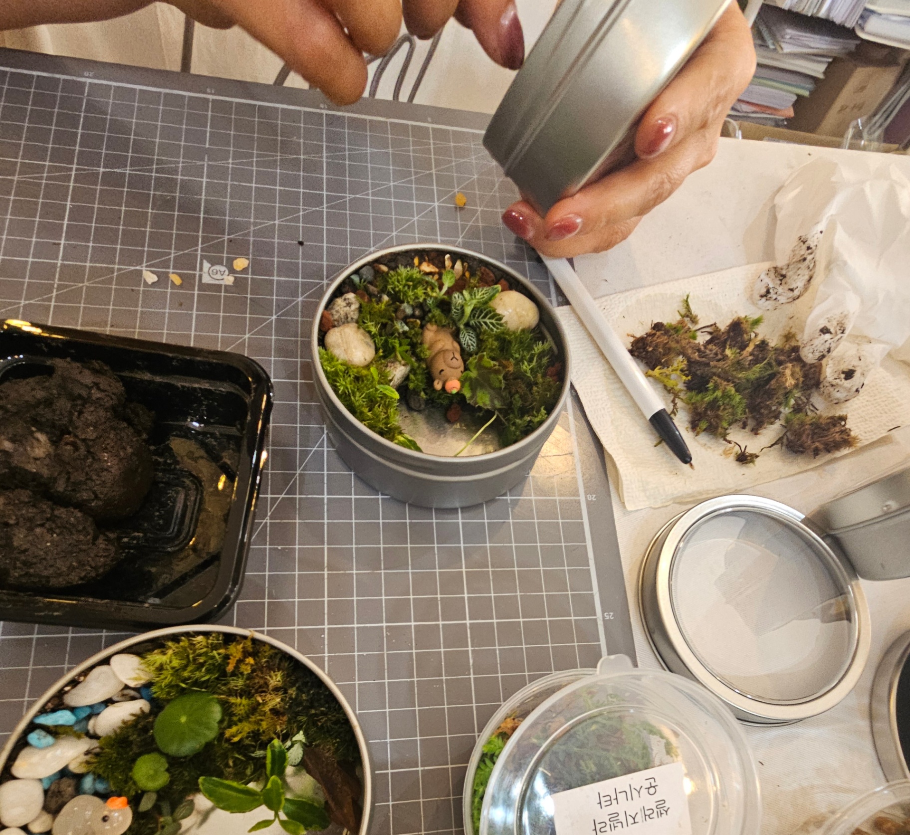 마그넷테라리움 실습이 진행됩니다