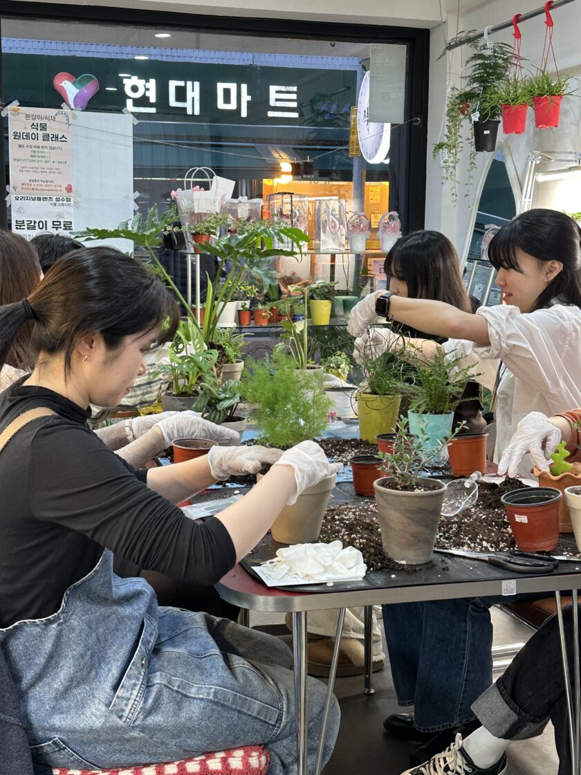 나만의 반려식물 만드는 가드닝 클래스