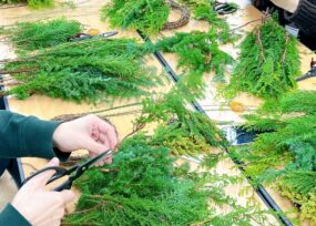 천연 크리스마스 감성 리스