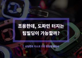 무소음 DJ파티, 사일런트 디제잉