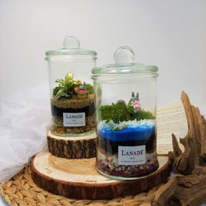 terrarium (14) terrarium (14)